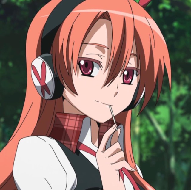 mini-切尔茜总冠军